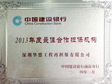 2013年建行最佳合作机构