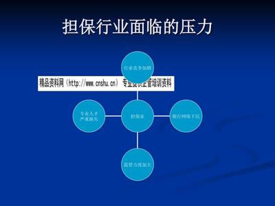 担保业务创新与风险管理培训讲义