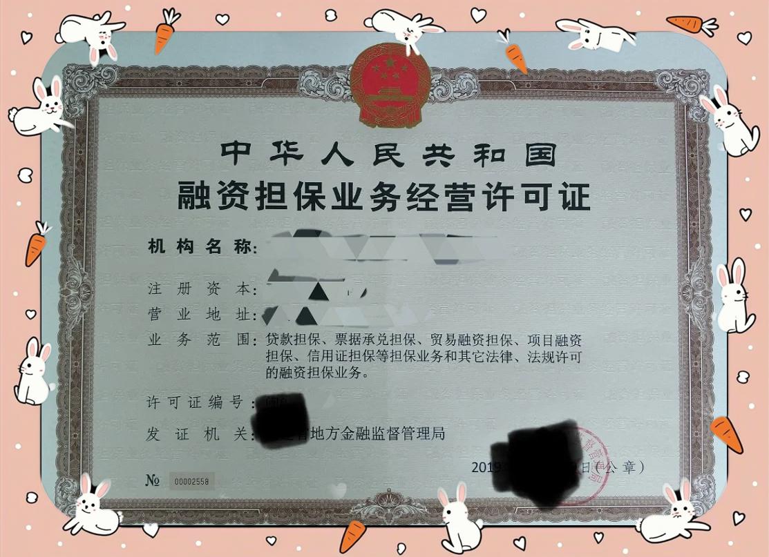 融资担保公司设立全攻略2023最新指南